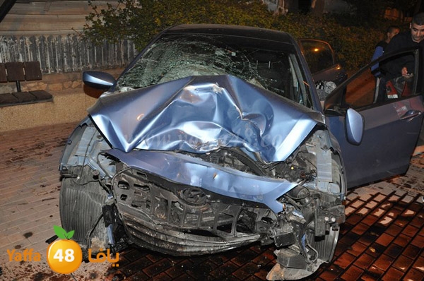 acc 7eshmona2em palmtree (10).JPG